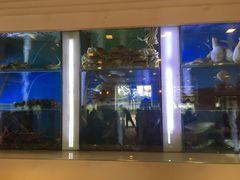 -新加坡海鲜共和(名胜世界圣淘沙海滨坊)