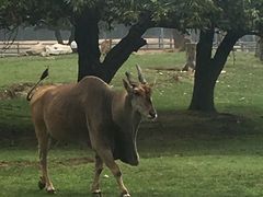-西安秦岭野生动物园