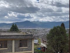 -蘑统田下·野生菌火锅