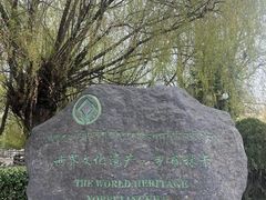 -罗布林卡