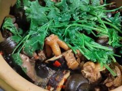 -食爺炭炉鸡煲·烧烤