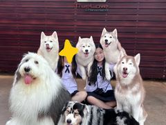 -TrueLove @ Neverland (Husky Cafe)