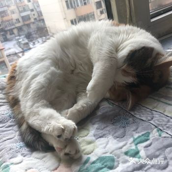 在家呆了一个月零一周了！疯了！