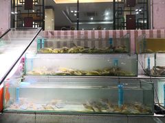 门面-光海鲜鱼翅餐厅(叻差拉披色路店)