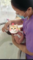 -养月堂中医养生月子会所(中心妇产店)