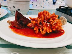 松鼠桂鱼-亢龙太子酒轩(东湖店)