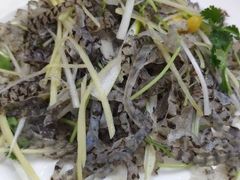 -渡海小渔村.老辈日照菜