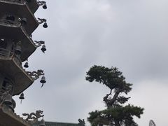 -天津大悲禅院