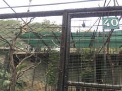 -卡塞拉自然公园