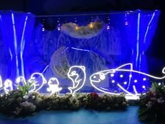 -烟台海昌鲸鲨海洋公园