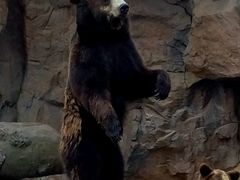 -广东省拱北口岸中国旅行社(华宾营业部)