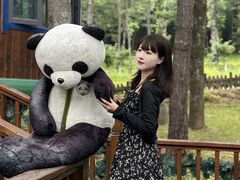 -洛阳白云山景区