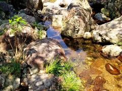 -四明山国家森林公园
