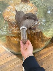 -Zoolung Zoolung动物主题公园(海信广场店)