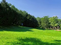 -云岗森林公园