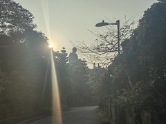-天坛大佛