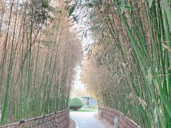 -春晖园度假酒店温泉