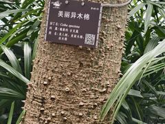 -南宁南湖公园