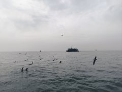 -巢湖姥山岛