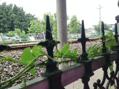 景观位-荷香居(洞企石路店)