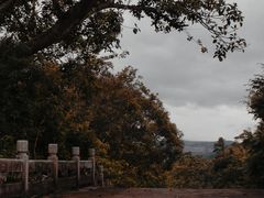 -海南热带雨林国家公园吊罗山景区