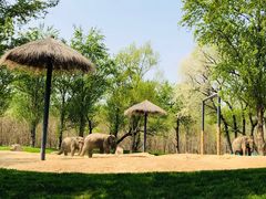 -北京野生动物园