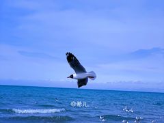 -青海湖国家重点风景名胜区
