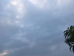 -华豫川酒家(双子塔店)