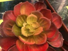 -黎明国际酒店太阳阁西餐厅