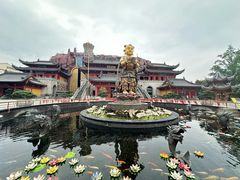 -上海东林寺(金山区)
