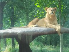 -北京野生动物园