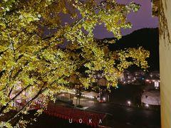 -重庆南山海昌汤都