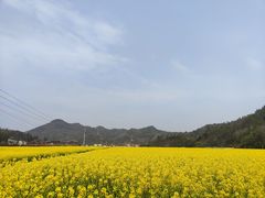 -树厨贵州菜(铜仁花果山店)