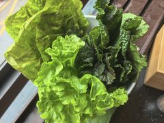 -本家·添百客韩国料理(泰然店)