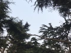 -贮水山儿童公园