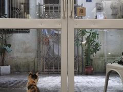 -玫瑰咖啡(中山六路店)