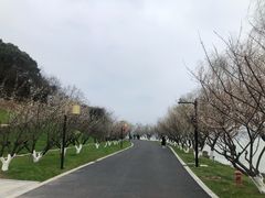 -东钱湖小普陀景区