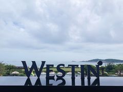 -舟山朱家尖威斯汀酒店·知味标帜自助餐厅