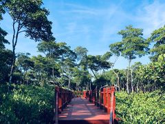 -东寨港红树林旅游区