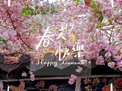 -深圳国际园林花卉博览园