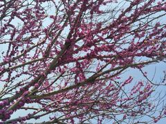 -南通洲际绿博园