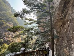 -雁荡山风景名胜区