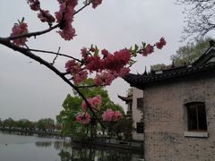-苏堤停车场