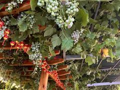 -伊隆斋(什刹海店)