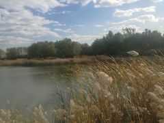 -永定河休闲森林公园