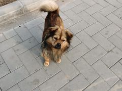 -沪上阿姨鲜果茶(华新大街店)