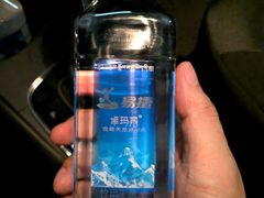 -中国石化北蔡加油站