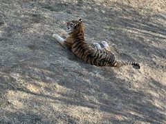 -石家庄市动物园