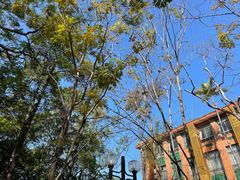 -中山大学（南校区）-英东游泳场