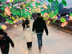-沈阳奥体冰雪嘉年华